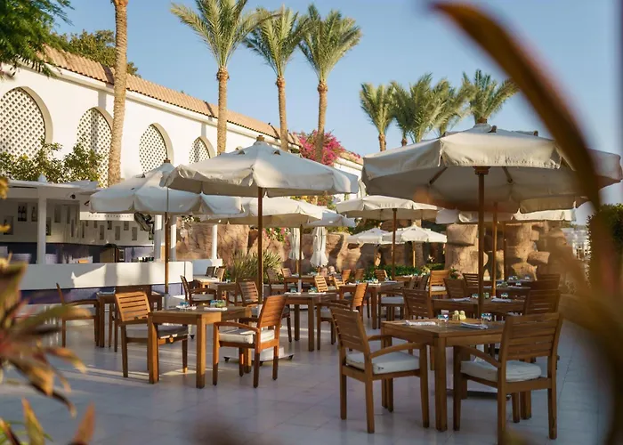 Baron Palms Adults Friendly Only 16 Years Plus Boutique StyleHotel Stelle